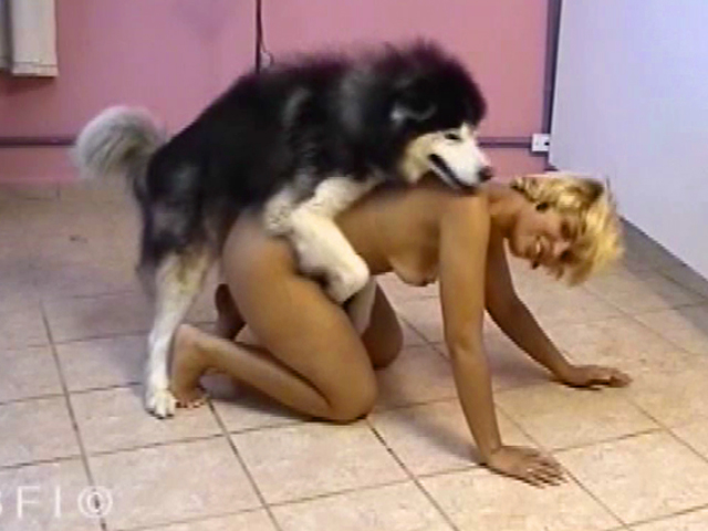 Baiser par son chien elle avale son sperme